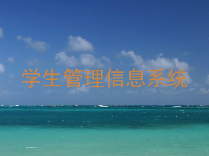 学生管理信息系统