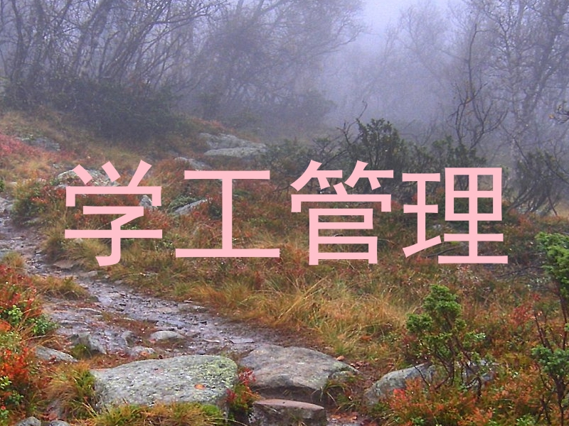 学工管理