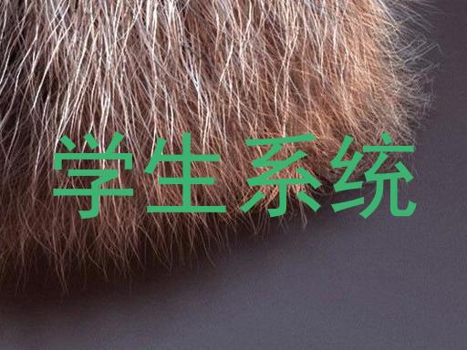 学生系统