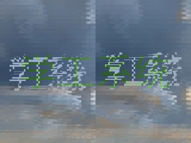 学工系统