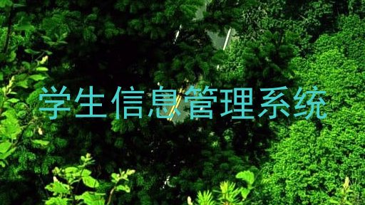 学生信息管理系统