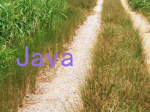 Java