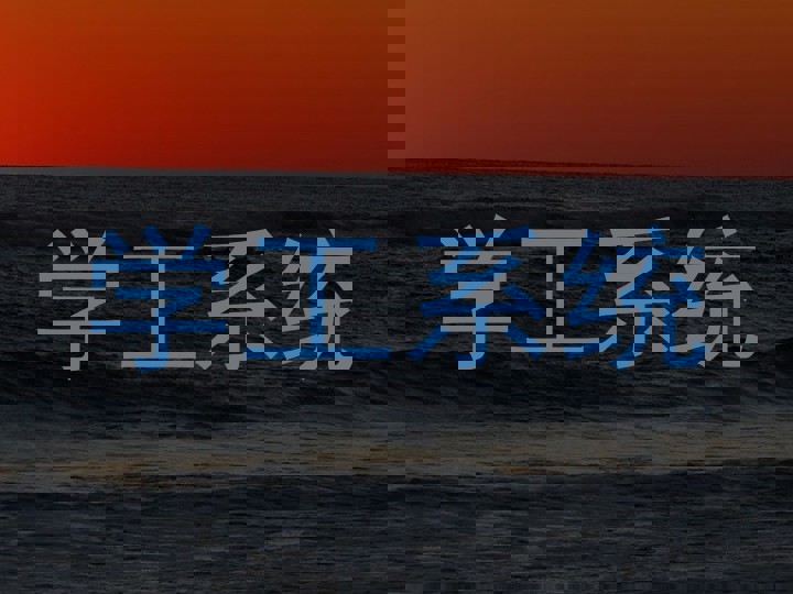 学工系统