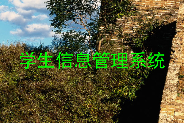 学生信息管理系统