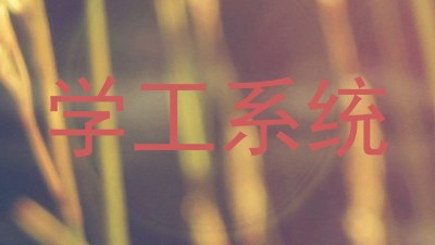学工系统