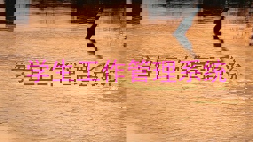 学生工作管理系统