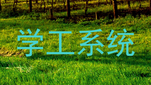 学工系统