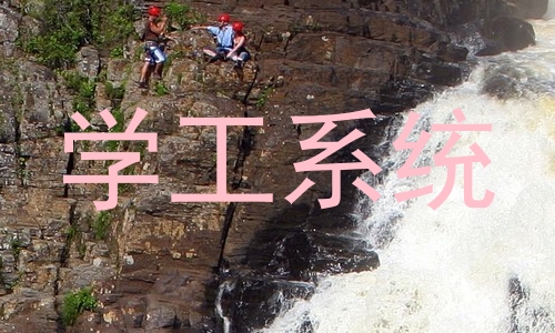 学工系统
