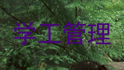 学工管理