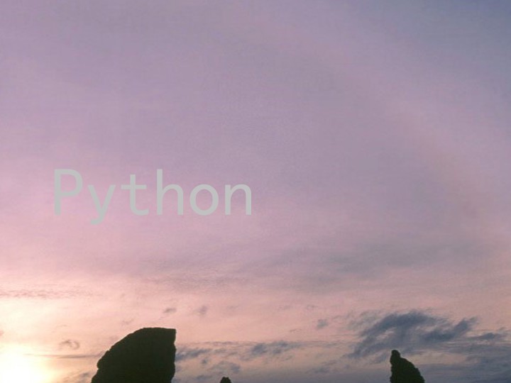 Python