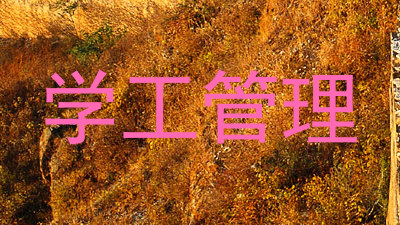 学工管理