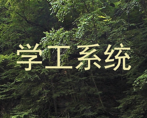 学工系统