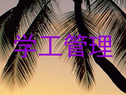 学工管理