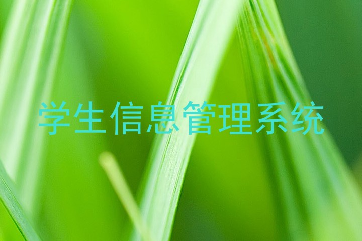 学生信息管理系统