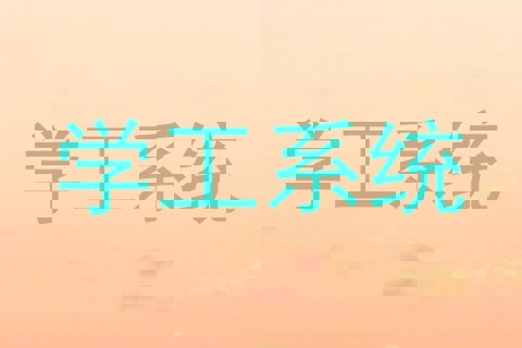 学工系统