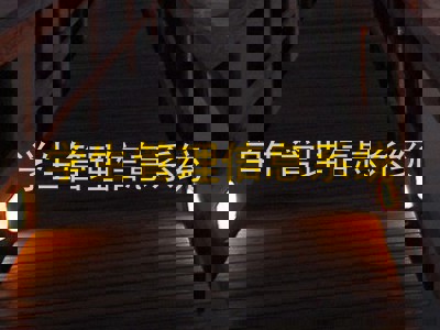 学生管理信息系统