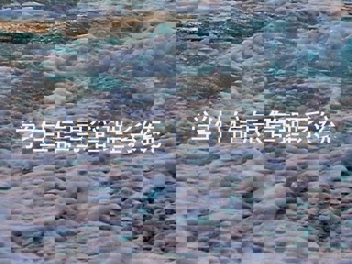学生信息管理系统