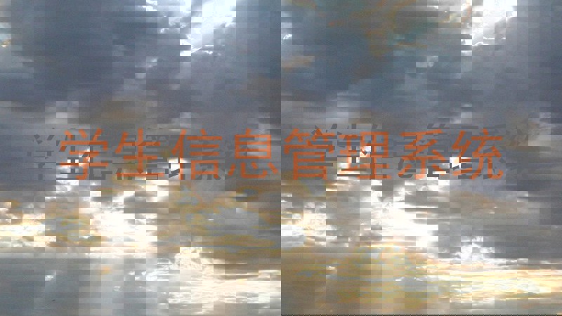 学生信息管理系统
