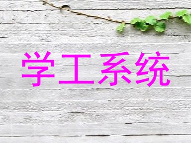 学工系统