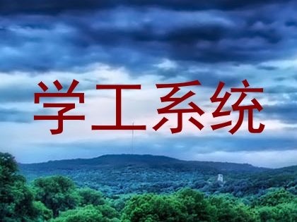 学工系统