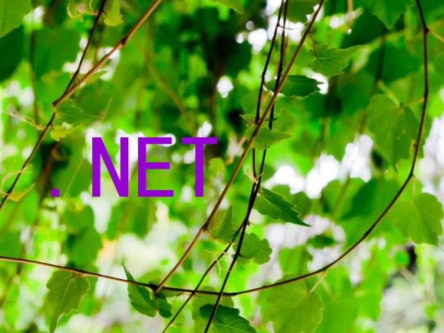 .NET