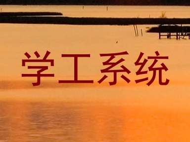 学工系统
