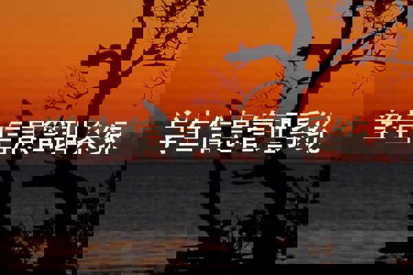 学生信息管理系统