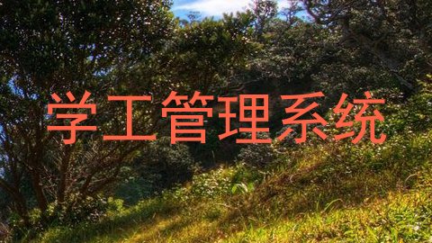 学工管理系统