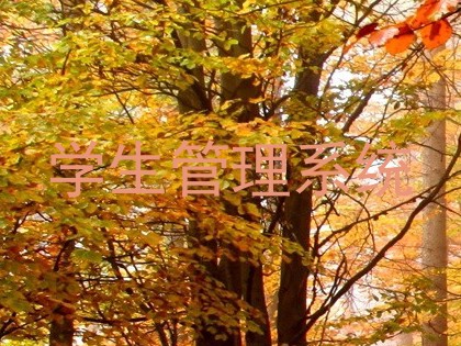 学生管理系统