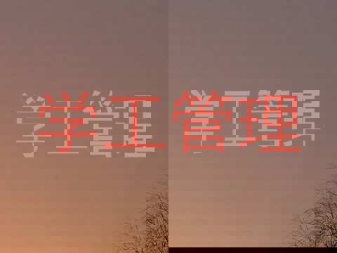 学工管理