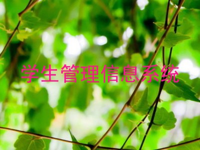 学生管理信息系统
