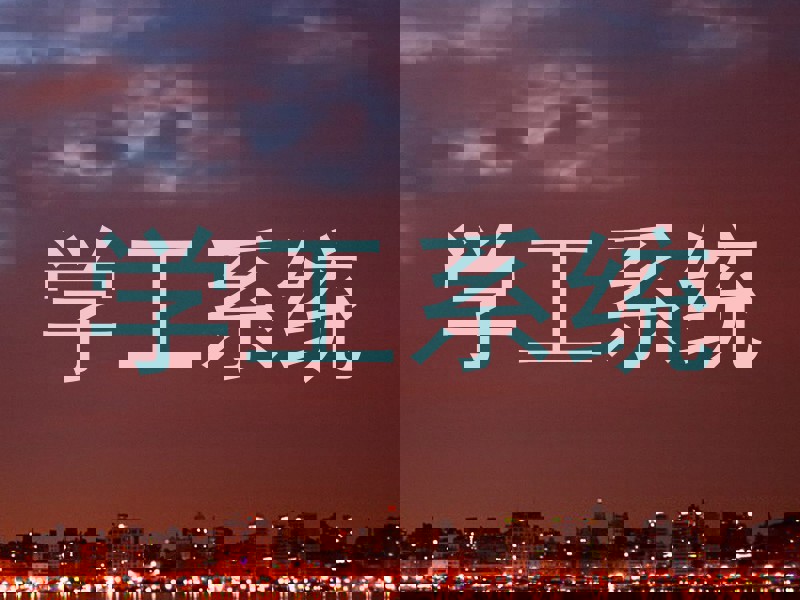 学工系统