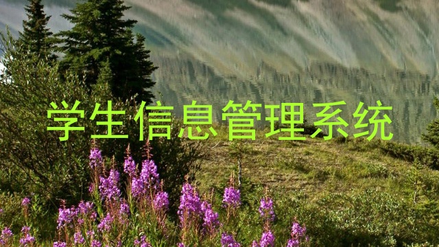 学生信息管理系统