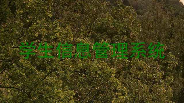 学生信息管理系统