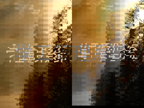 学工管理系统