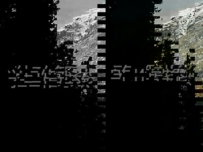 学生工作管理系统