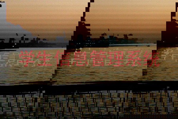 学生信息管理系统