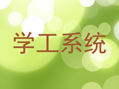 学工系统