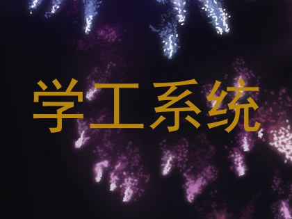 学工系统