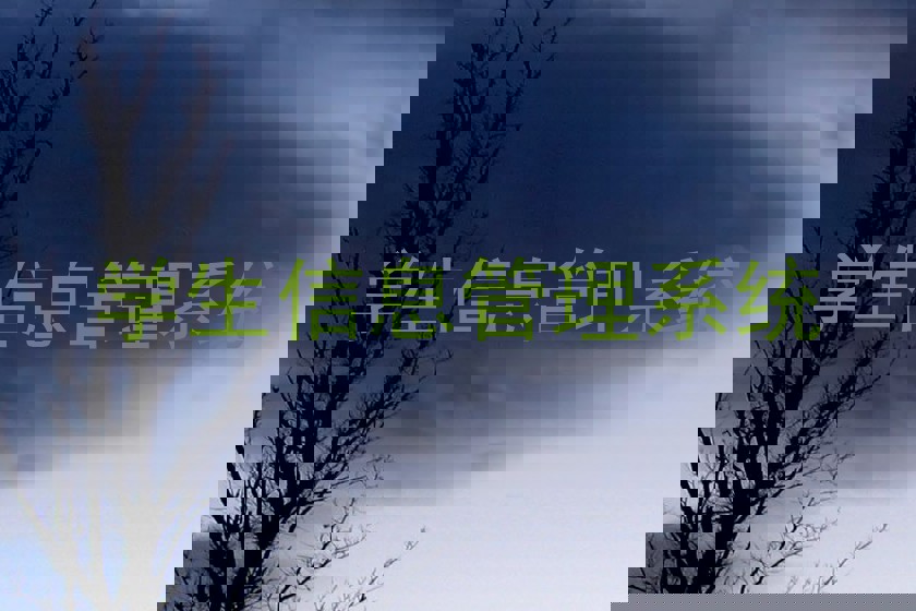 学生信息管理系统