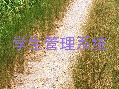 学生管理系统