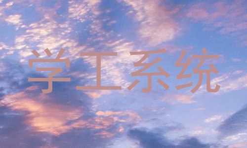 学工系统