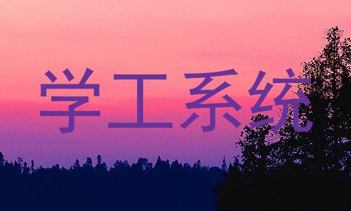 学工系统