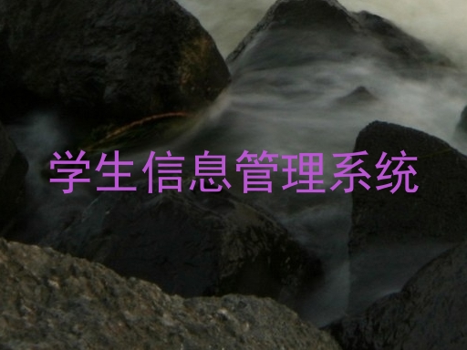 学生信息管理系统
