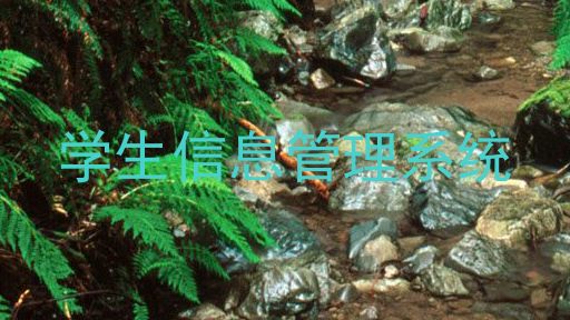 学生信息管理系统