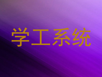 学工系统