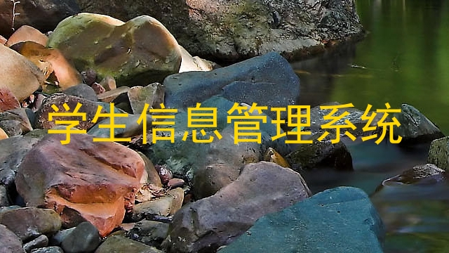 学生信息管理系统