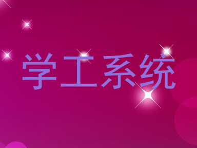 学工系统