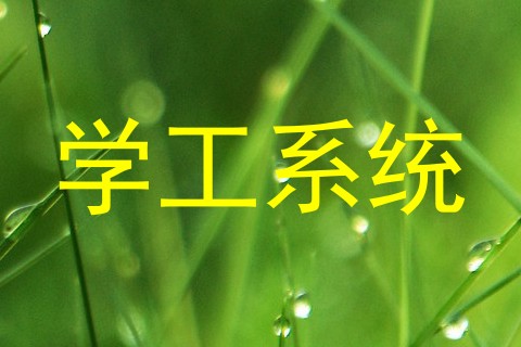 学工系统