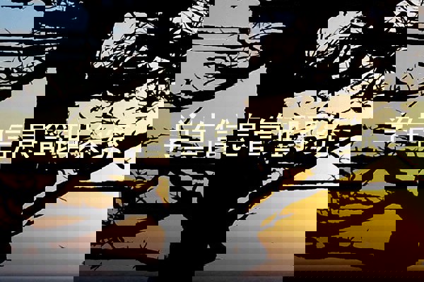 学生信息管理系统